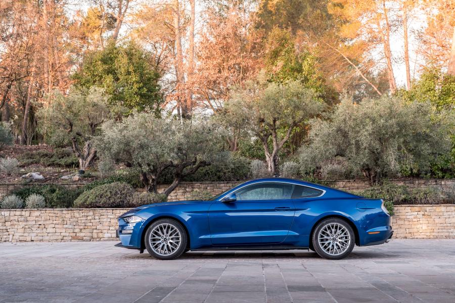  Ford Mustang EcoBoost Fastback 2017 года  (EU) (фото 9 из 16)